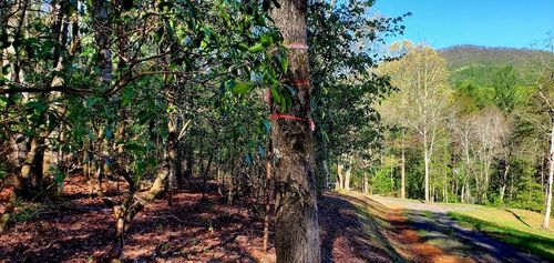 H-5 River Sound Vlg, Hayesville, NC, 28904 | Card Image