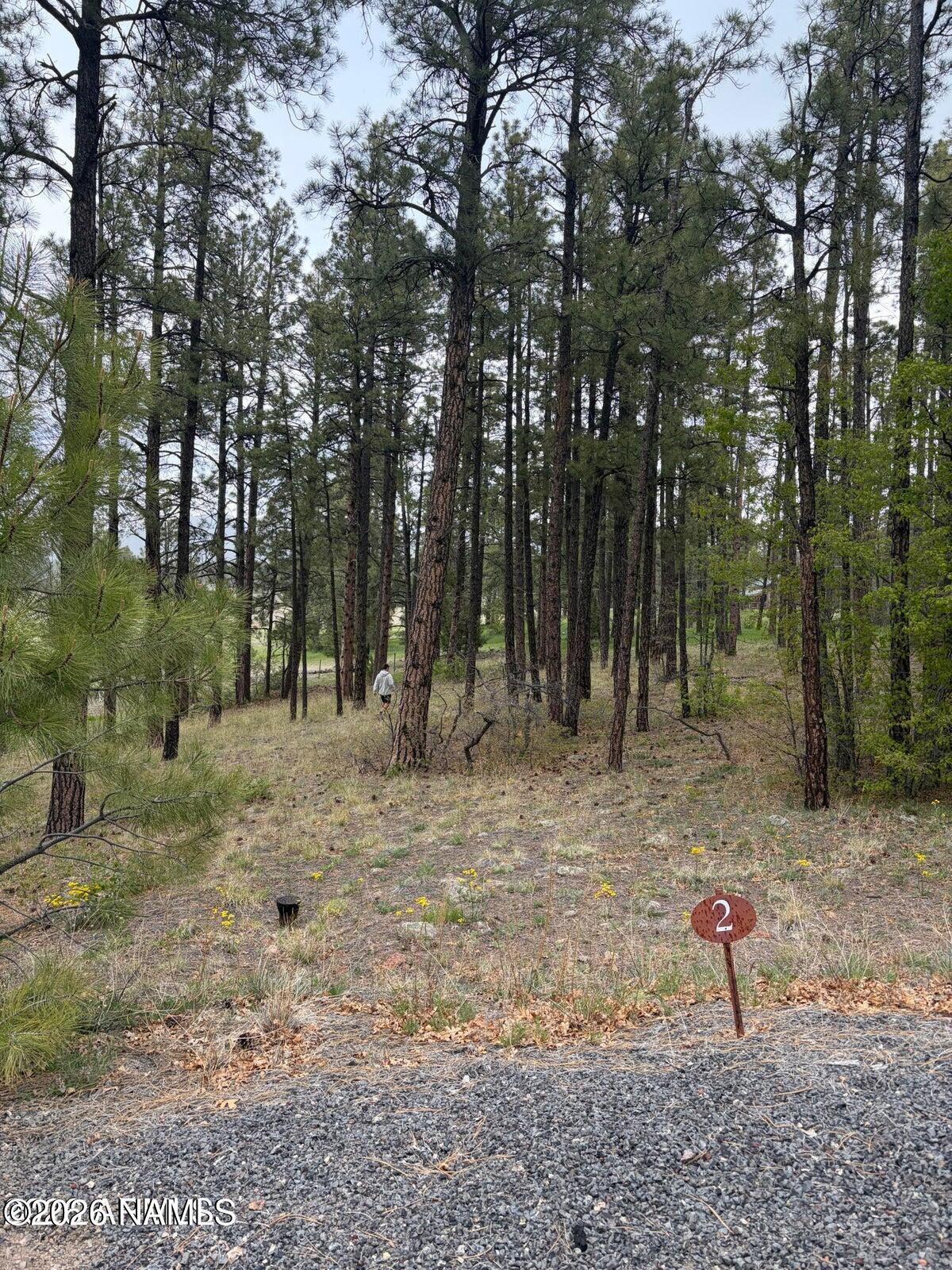 Land in Williams