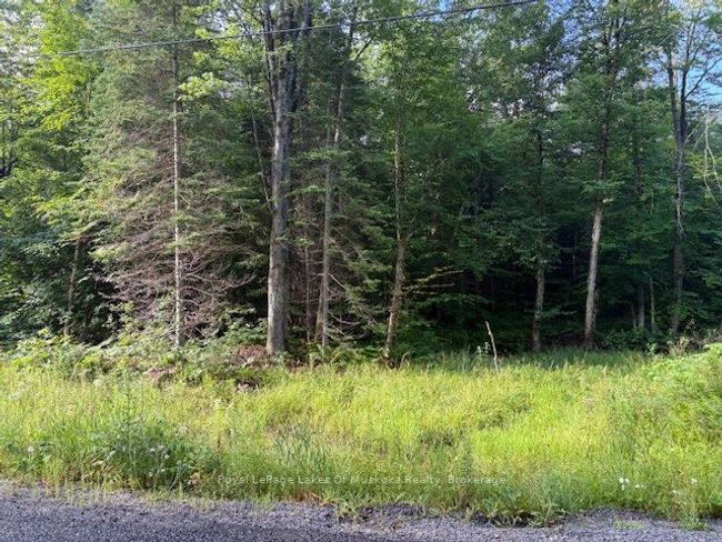 60 Summer Leigh Trail, Home with 0 bedrooms, 0 bathrooms and null parking in Utterson ON | Image 5
