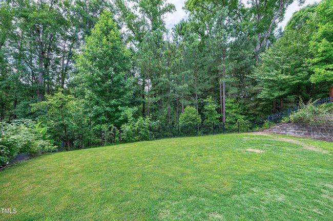 Backyard | Image 61