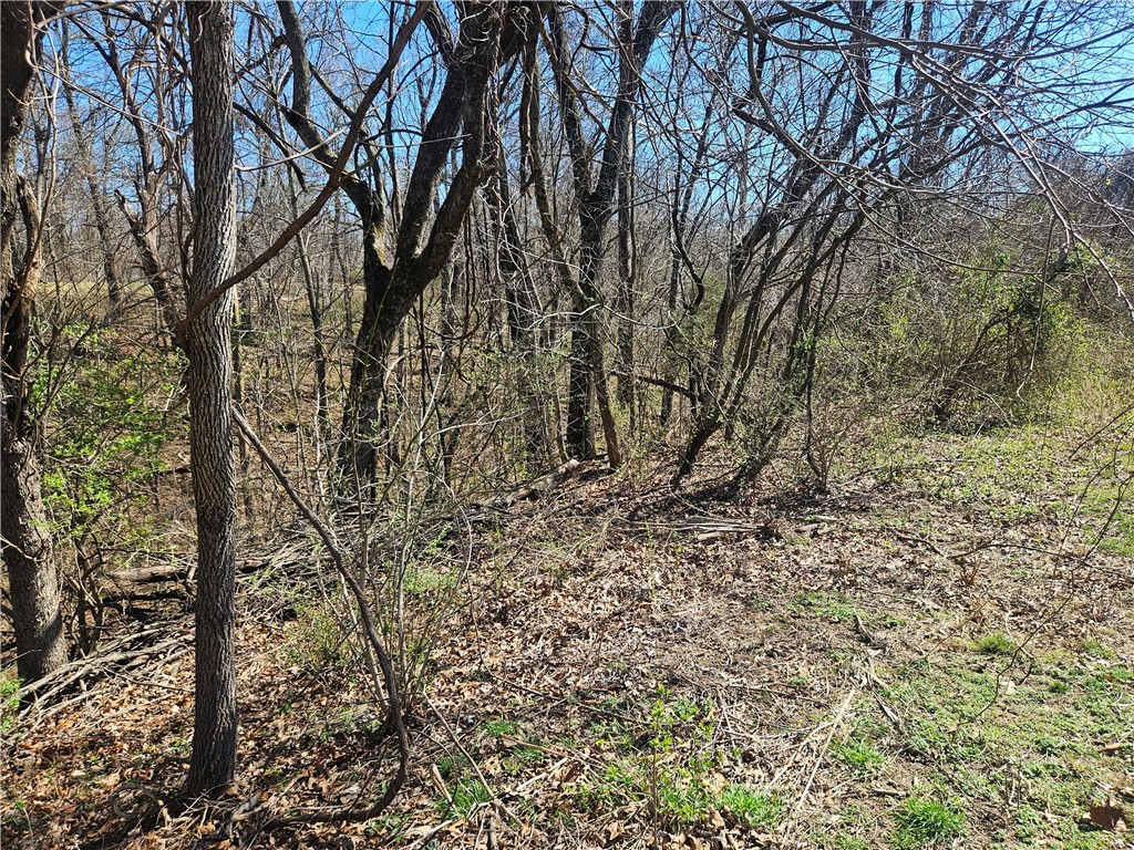 Land in Lowell 5