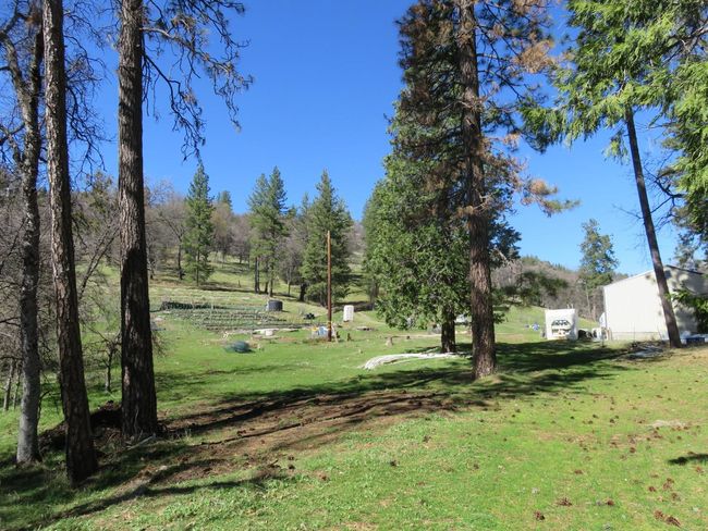 4196 Bald Mountain Rd, Home with 0 bedrooms, 0 bathrooms and null parking in West Point CA | Image 15