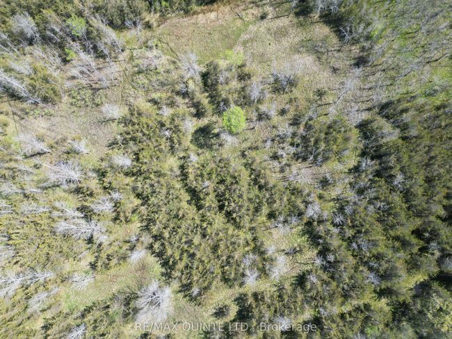 PART-2 - 0 Abrams Rd, Home with 0 bedrooms, 0 bathrooms and null parking in Greater Napanee ON | Image 6