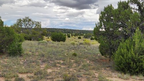 73 Tonto Pass Rd, Quemado, NM, 87829-0120 | Card Image
