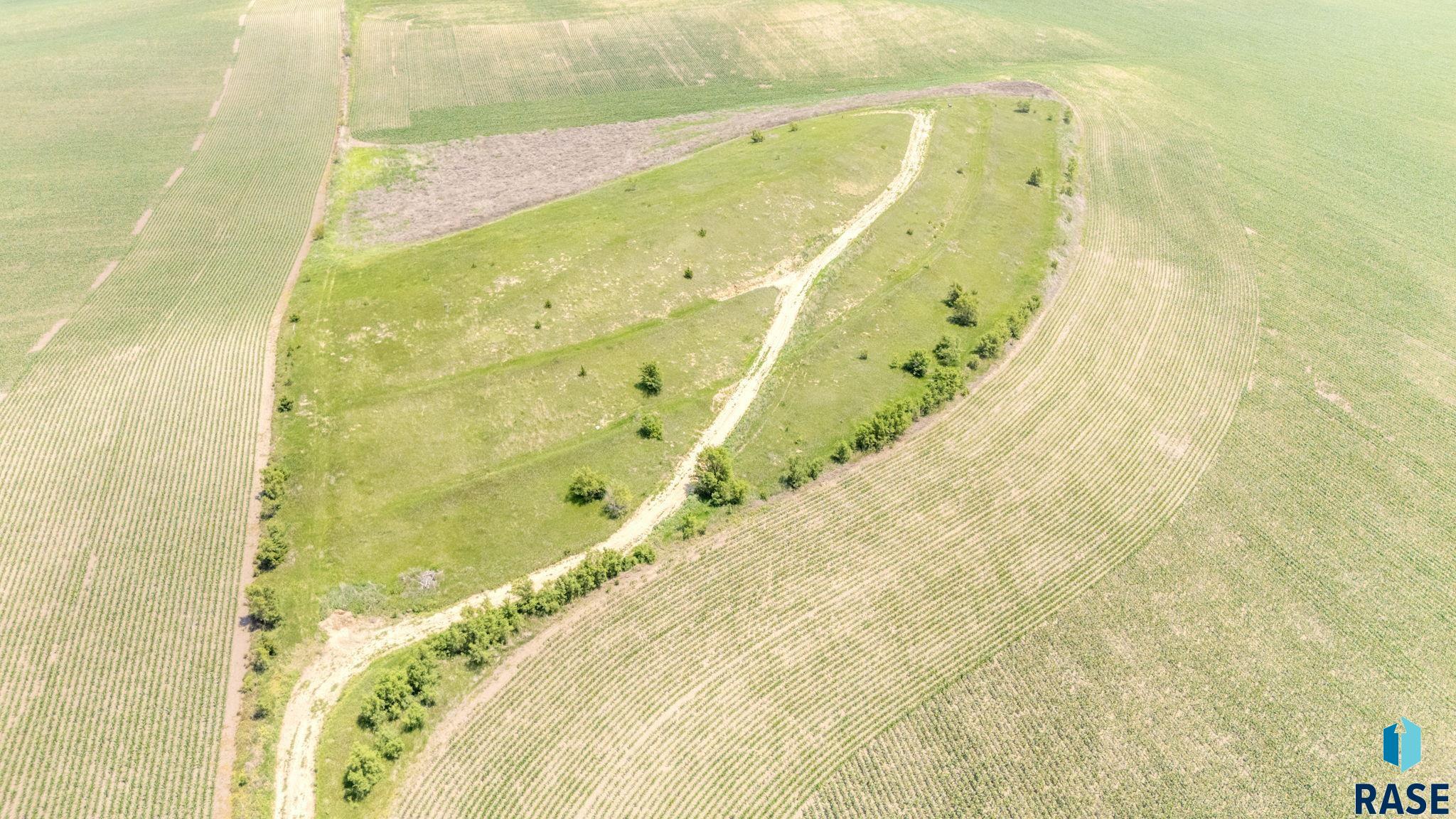 Land in Beresford 3