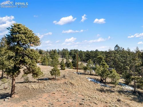 530 Columbine Rd, Florissant, CO, 80816-8884 | Card Image