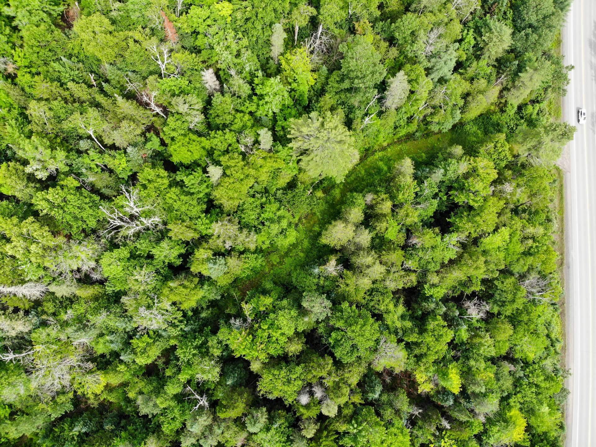 Land in Morin-Heights