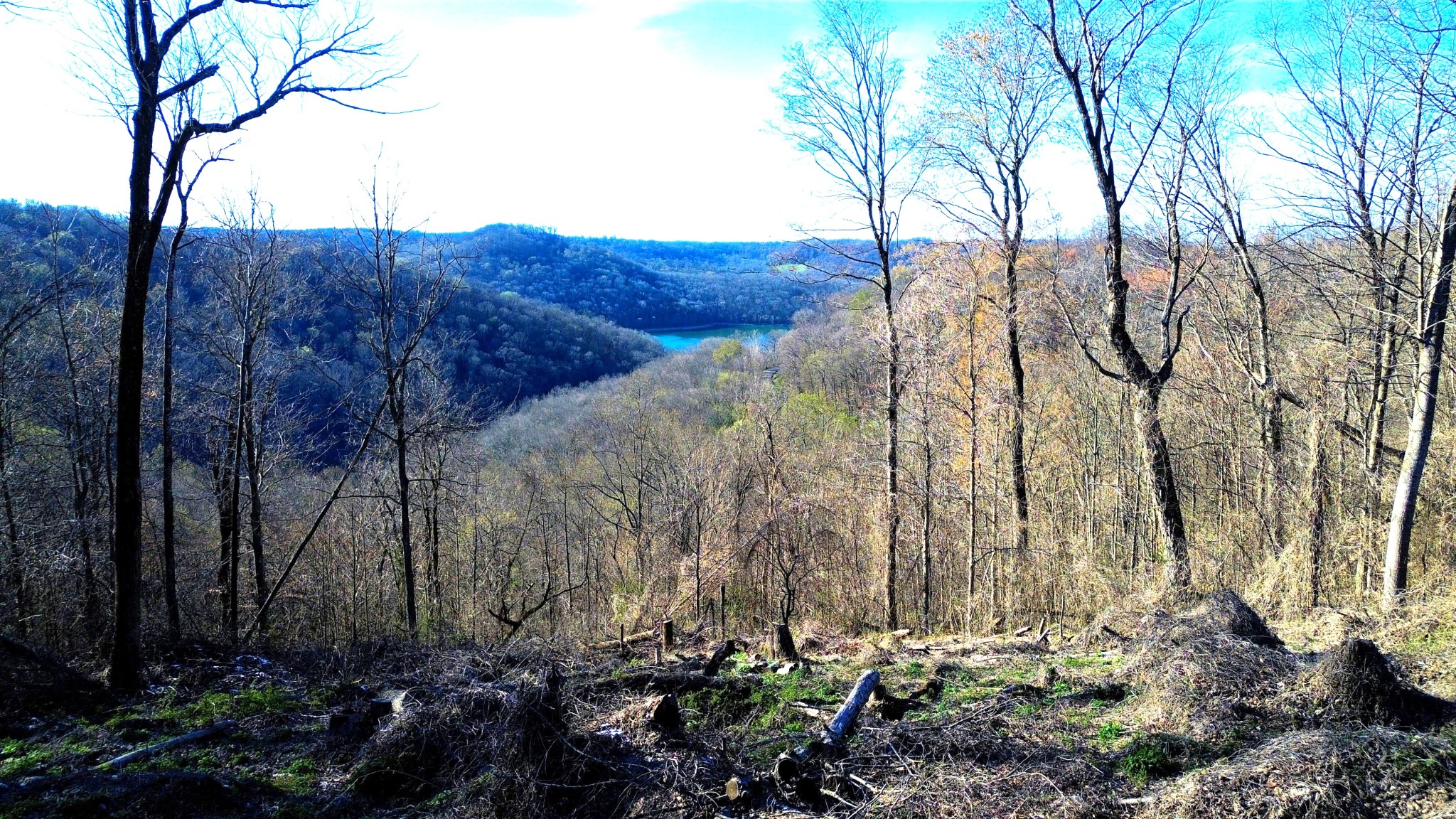 Land in Smithville 3