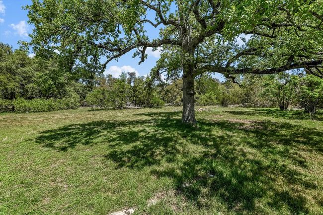 View of yard | Image 19