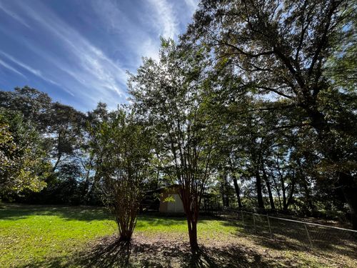 800 Dr Nelson Rd, Defuniak Springs, FL, 32433-7038 | Card Image