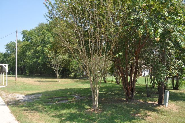 View of yard | Image 18