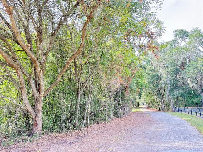 4012 Se 150 Th St, House other with 3 bedrooms, 2 bathrooms and null parking in SUMMERFIELD FL | Image 9