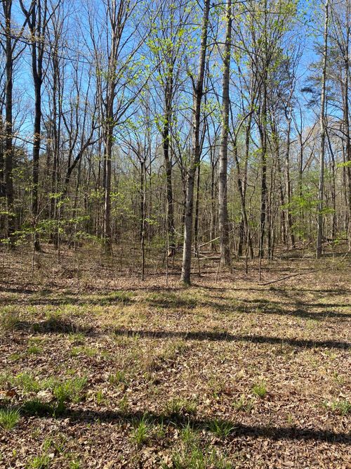 362 Haynes Rd, Sewanee, TN, 37375-4013 | Card Image