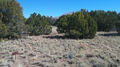 TBD Concho Hwy, Concho, AZ, 85924 | Card Image