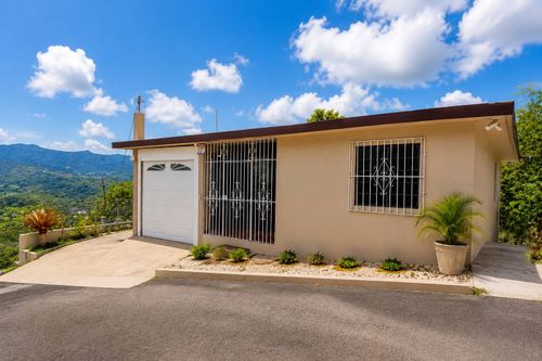 Road 144 Km 4.2 Interior Jayuya Abajo Sector Sant, JAYUYA, PR, 00664 | Card Image