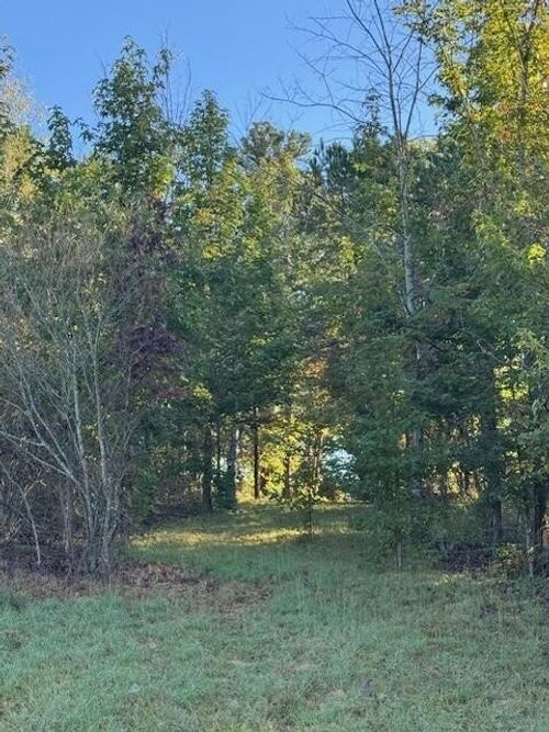 446 Patton School Rd, South Pittsburg, TN, 37380-6105 | Card Image