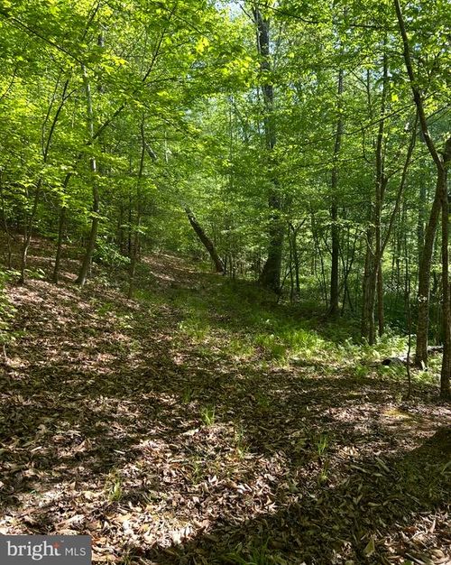 Lot 1 Wallace St, Warsaw, VA, 22572 | Card Image