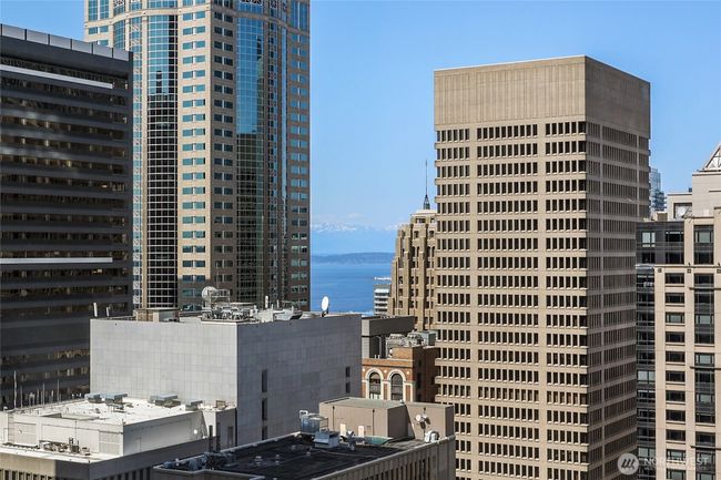 Peek-a-boo to Sound and Olympic Mountains! | Image 27