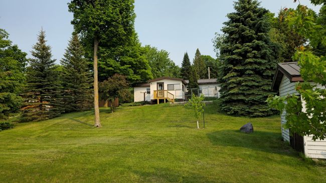 Back yard | Image 18