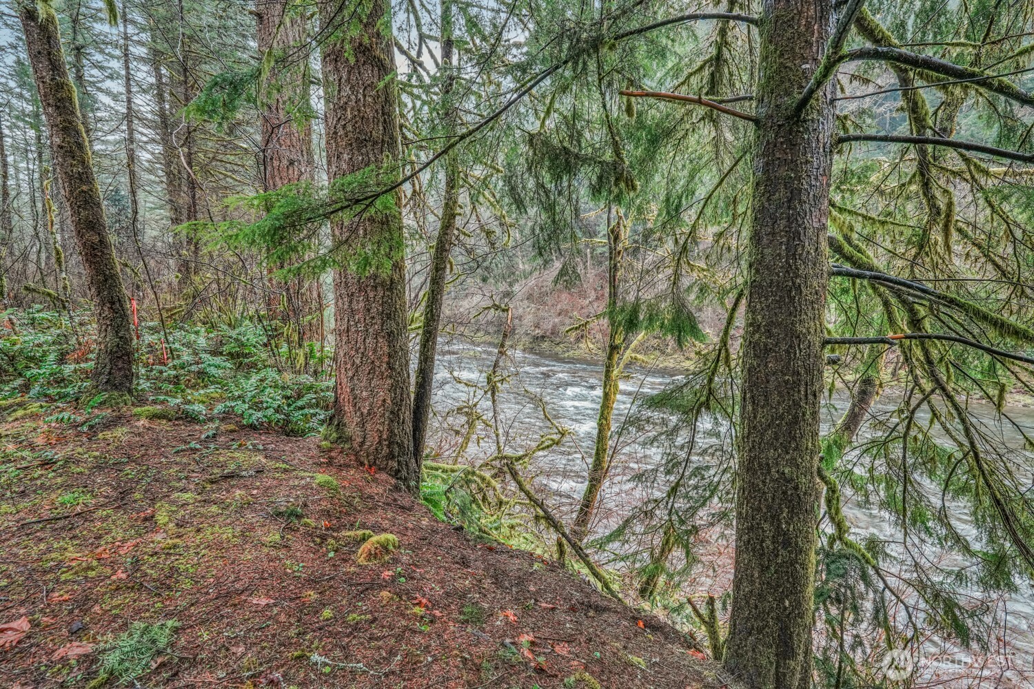 Residential in Washougal 4