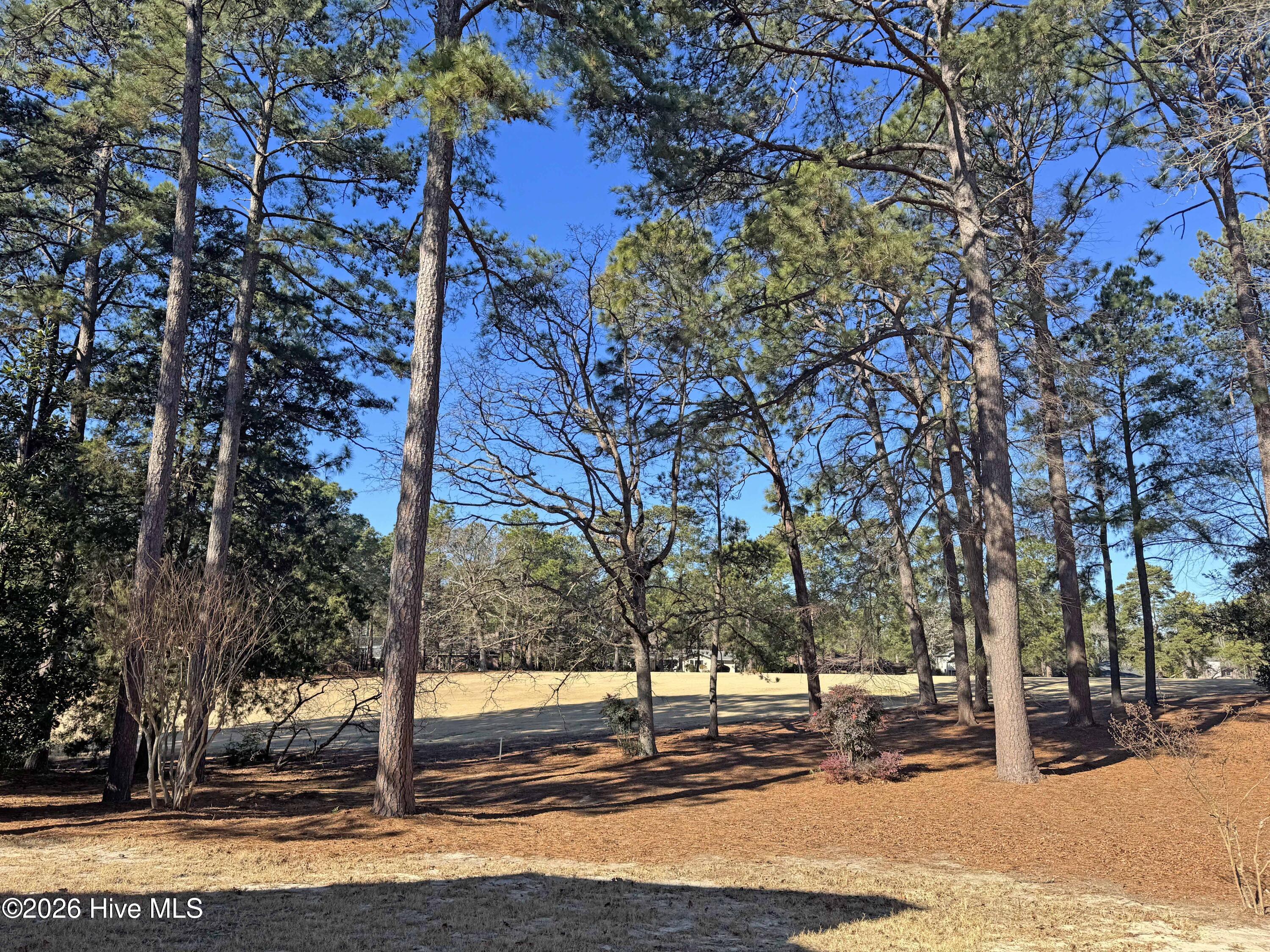 Residential in Pinehurst 3