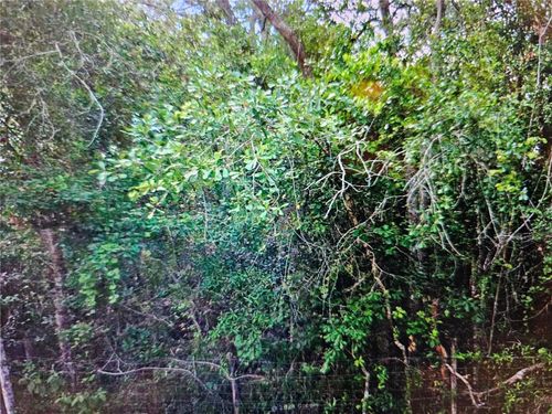 0 Lisbon St, New Port Richey, FL, 34654 | Card Image