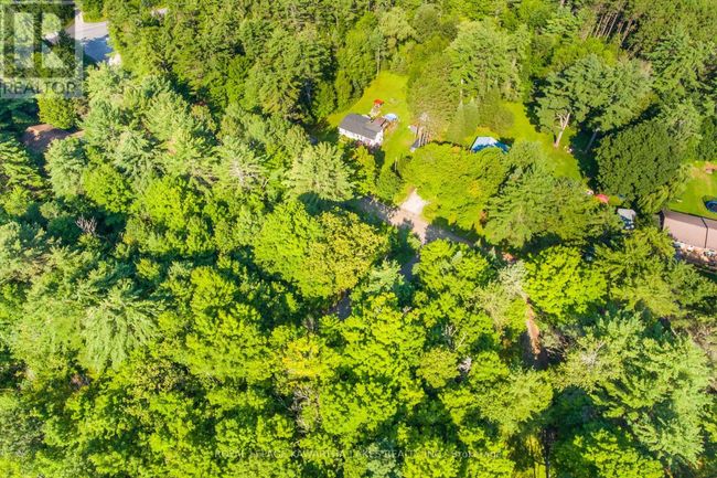 Lt 33 Benson Blvd, Home with 0 bedrooms, 0 bathrooms and null parking in Coboconk ON | Image 12