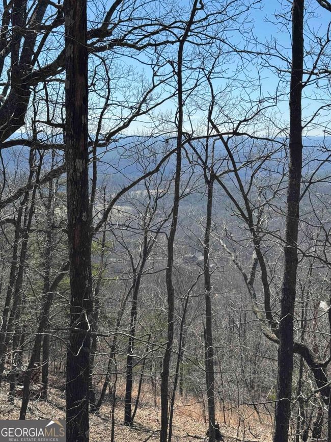 7349 Starlight Ln, Home with 0 bedrooms, 0 bathrooms and null parking in Jasper GA | Image 7