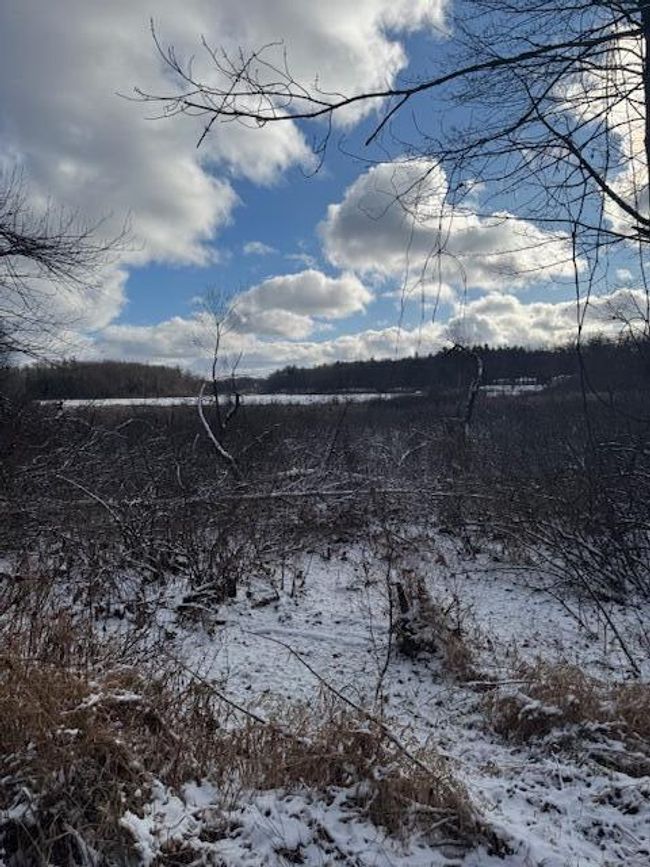 PARCEL-1 - V/L W Snows Lake Road, Home with 0 bedrooms, 0 bathrooms and null parking in Fenwick MI | Image 26