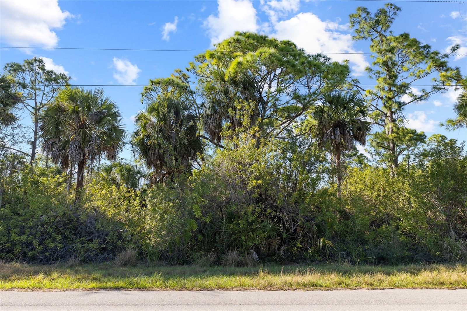Land in PORT CHARLOTTE