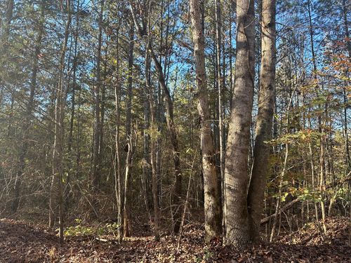 0 Redman Ln, Decatur, TN, 37322 | Card Image