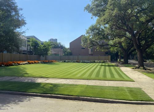 1621 Haver St, Houston, TX, 77006-2521 | Card Image