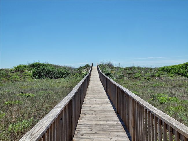 Boardwalk to the beach | Image 22