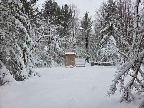 V/L Abermanis Trail, Luther, MI, 49656 | Card Image