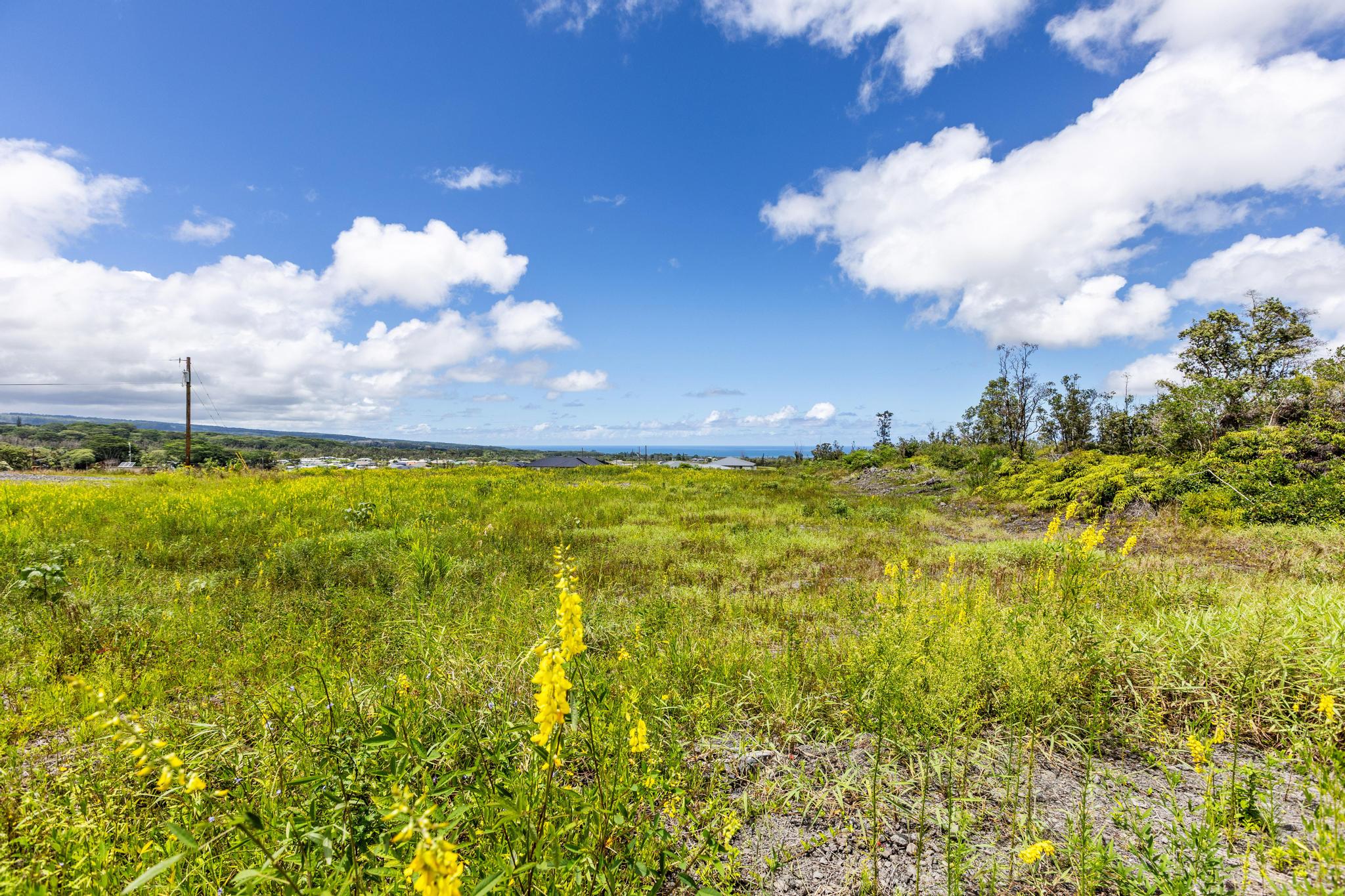 Land in Hilo 5