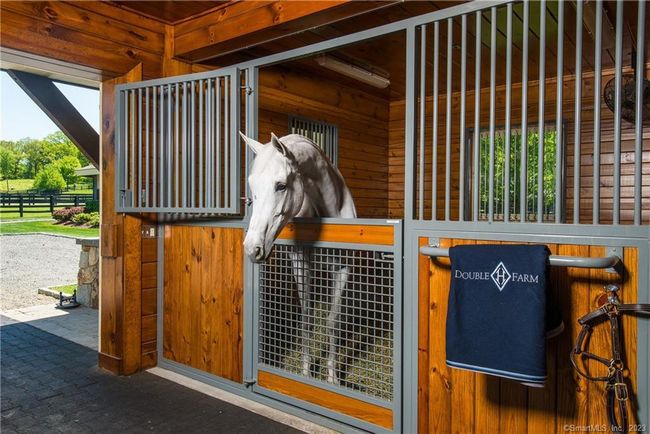 Paddocks &amp; Run In Shed | Image 13