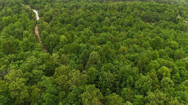 DJI_20250515142449_0136_D | Image 8