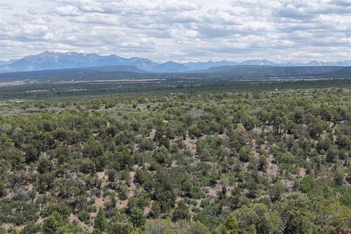 Unassigned Juniper Drive (42.2y Road), Norwood, CO, 81423 | Card Image