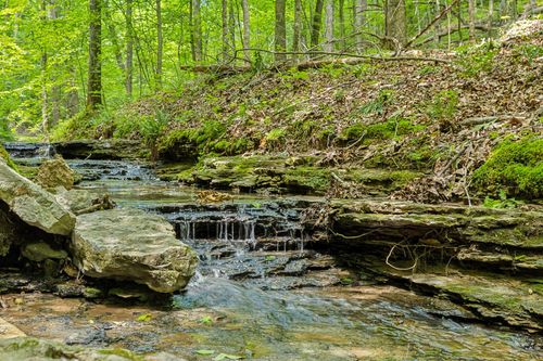 1 Crocker Springs Rd, Goodlettsville, TN, 37072 | Card Image