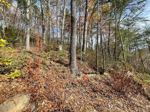 36 Sugar Mountain Way, Pigeon Forge, TN, 37863-4735 | Card Image