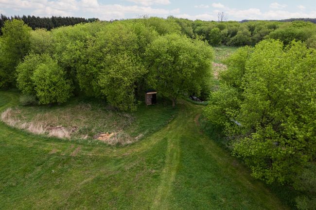 Trails and Hunting Blinds in the back | Image 26
