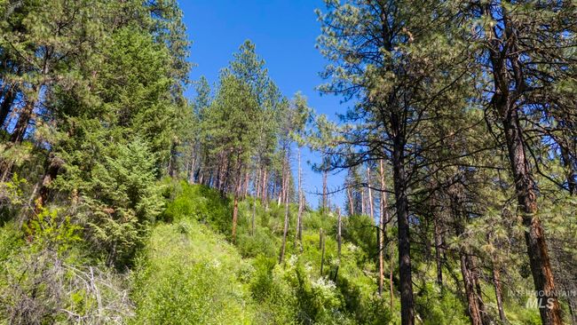 0 Forest Garden Ln, Home with 0 bedrooms, 0 bathrooms and null parking in Weippe ID | Image 19