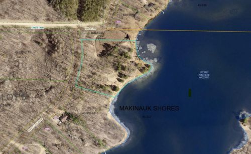 Lot 1 Turtle Ln Nw, Walker, MN, 56484 | Card Image