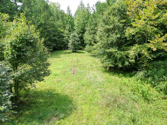 6470 Whitmire Hwy, Home with 0 bedrooms, 0 bathrooms and null parking in Whitmire SC | Image 7