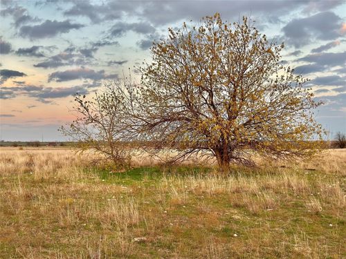 Lot 7 County Rd, Gainesville, TX, 76240 | Card Image