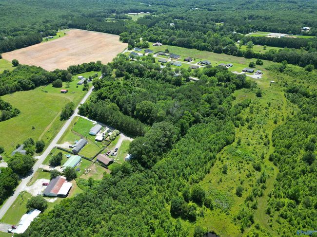 14 Acres Beaver Creek Rd, Home with 0 bedrooms, 0 bathrooms and null parking in Laceys Spring AL | Image 9