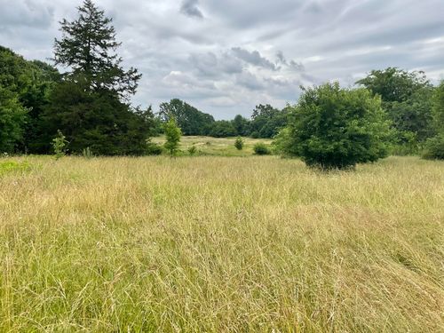 Tbd N Farm Road 71, Bois D Arc, MO, 65612 | Card Image