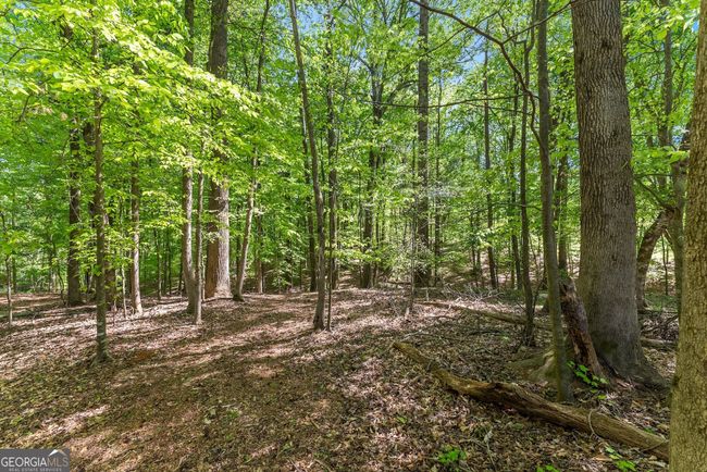 860 Canter Way, Home with 0 bedrooms, 0 bathrooms and null parking in Jefferson GA | Image 7