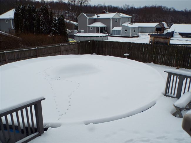 202 2 Nd Ave, House other with 4 bedrooms, 2 bathrooms and 2 parking in Elco PA | Image 10