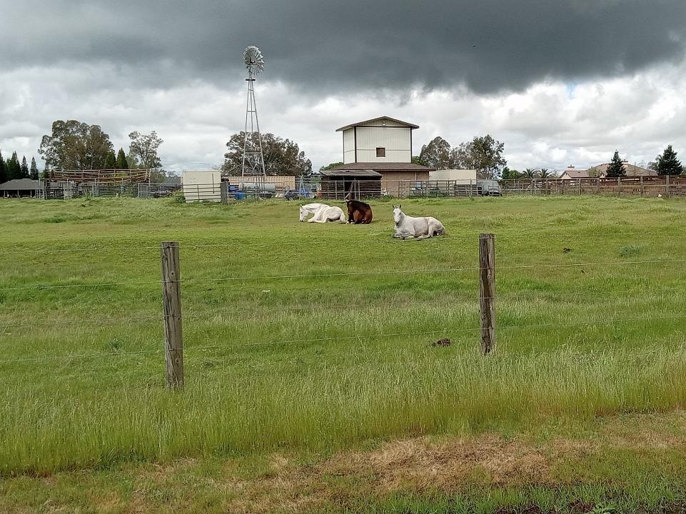 Land in Rio Linda 5